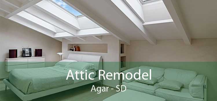 Attic Remodel Agar - SD