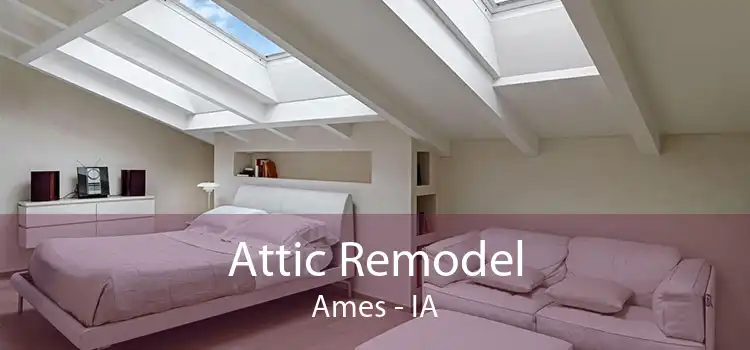 Attic Remodel Ames - IA