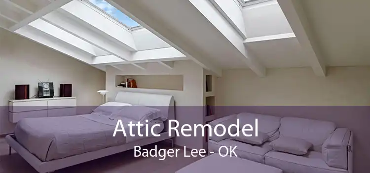 Attic Remodel Badger Lee - OK