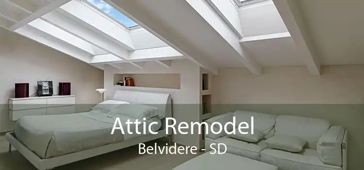 Attic Remodel Belvidere - SD