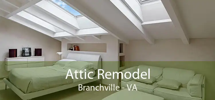 Attic Remodel Branchville - VA