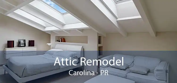 Attic Remodel Carolina - PR