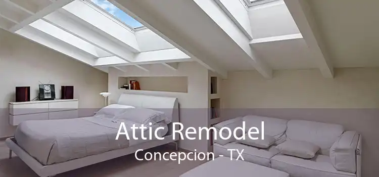 Attic Remodel Concepcion - TX