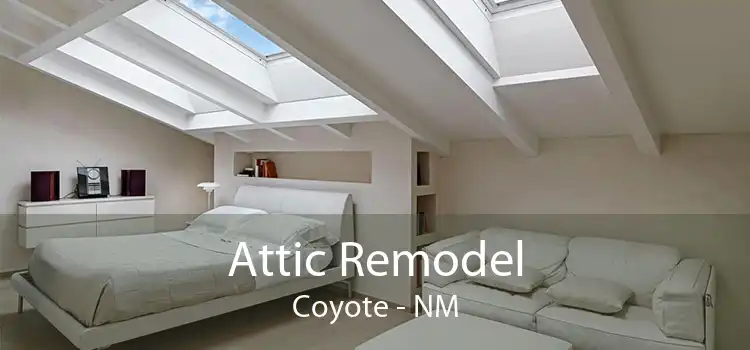 Attic Remodel Coyote - NM