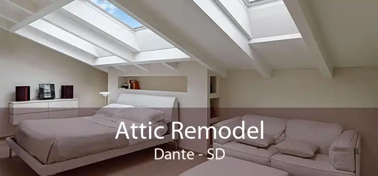Attic Remodel Dante - SD