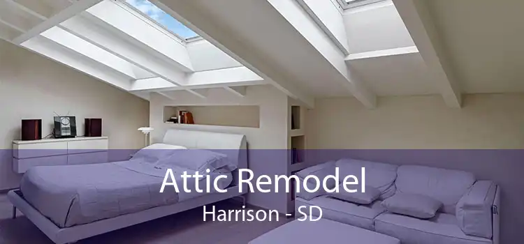 Attic Remodel Harrison - SD