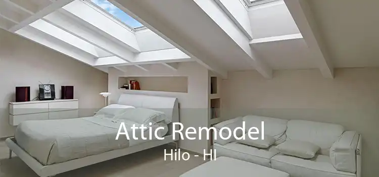 Attic Remodel Hilo - HI