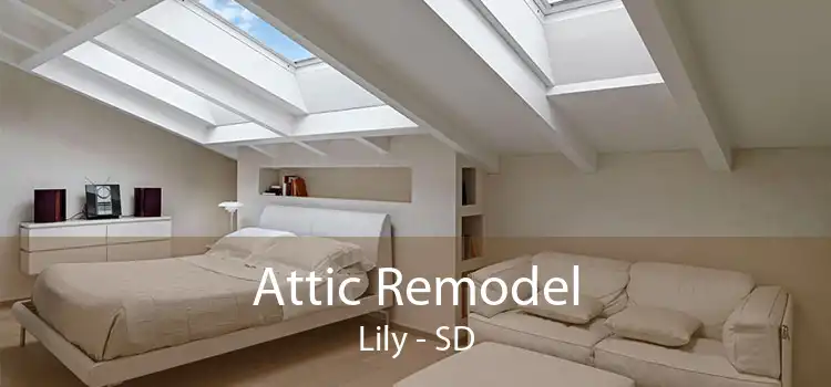 Attic Remodel Lily - SD