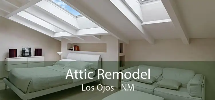 Attic Remodel Los Ojos - NM