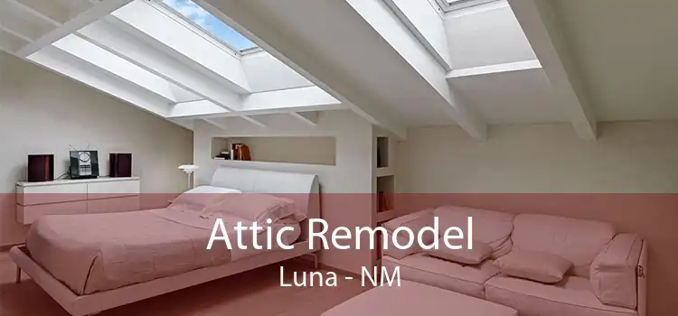 Attic Remodel Luna - NM