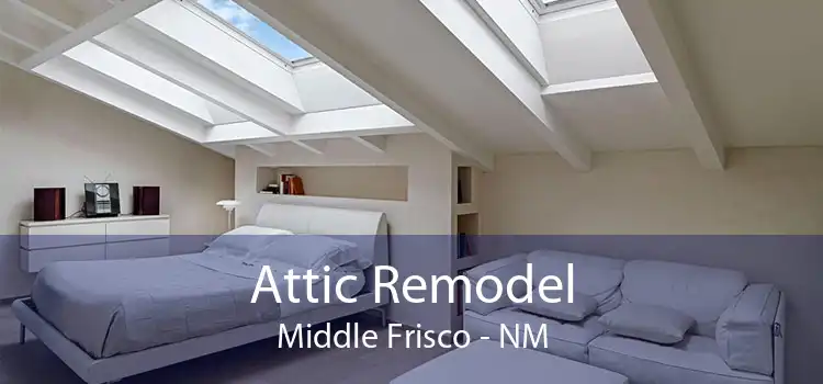 Attic Remodel Middle Frisco - NM