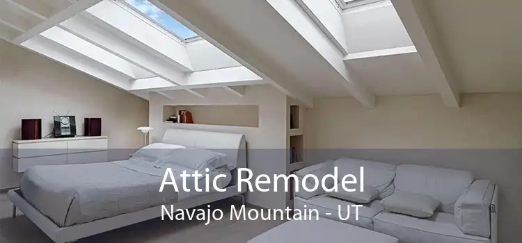 Attic Remodel Navajo Mountain - UT