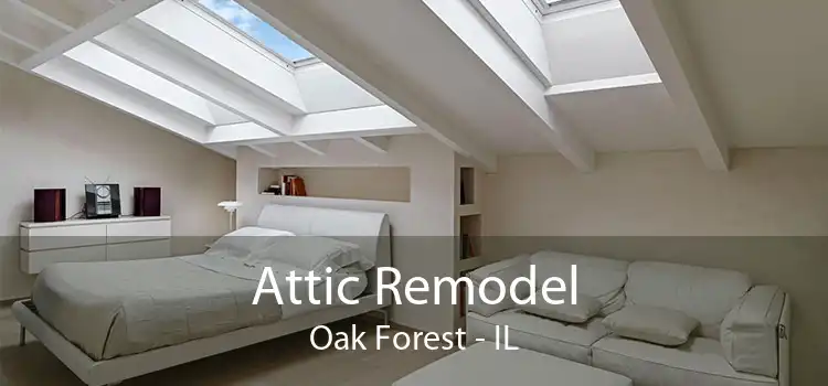 Attic Remodel Oak Forest - IL