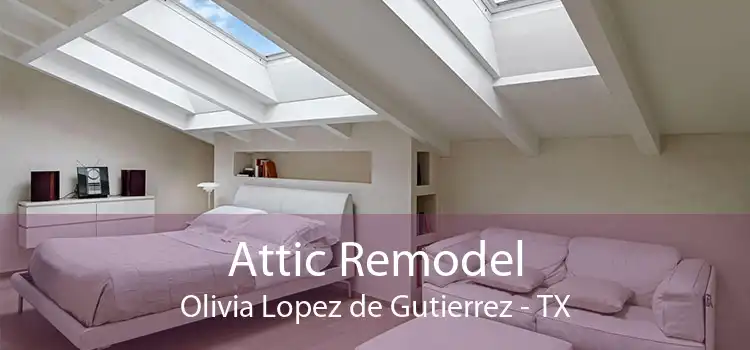 Attic Remodel Olivia Lopez de Gutierrez - TX