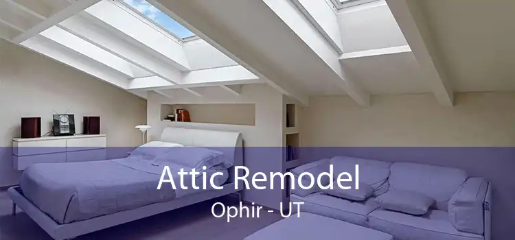 Attic Remodel Ophir - UT