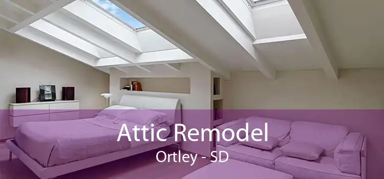 Attic Remodel Ortley - SD