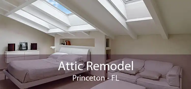 Attic Remodel Princeton - FL