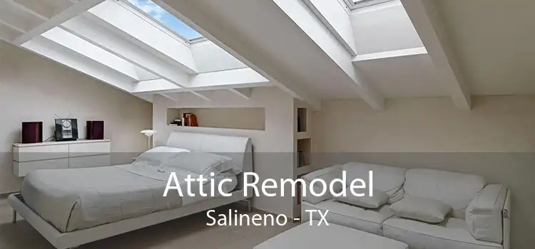 Attic Remodel Salineno - TX