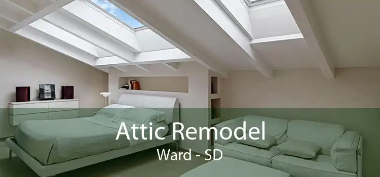 Attic Remodel Ward - SD