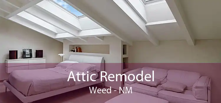 Attic Remodel Weed - NM