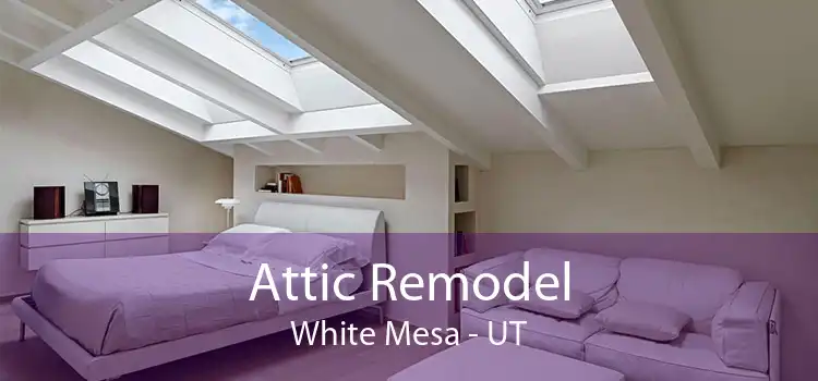Attic Remodel White Mesa - UT