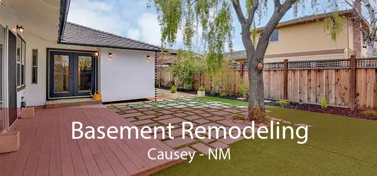 Basement Remodeling Causey - NM