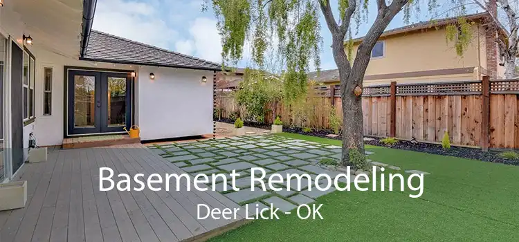 Basement Remodeling Deer Lick - OK