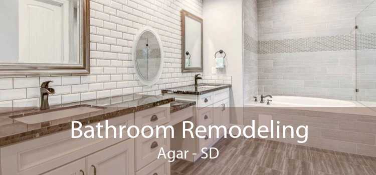 Bathroom Remodeling Agar - SD