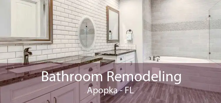 Bathroom Remodeling Apopka - FL