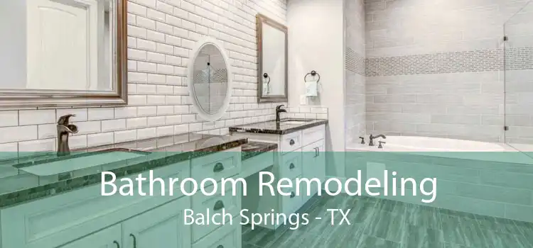 Bathroom Remodeling Balch Springs - TX