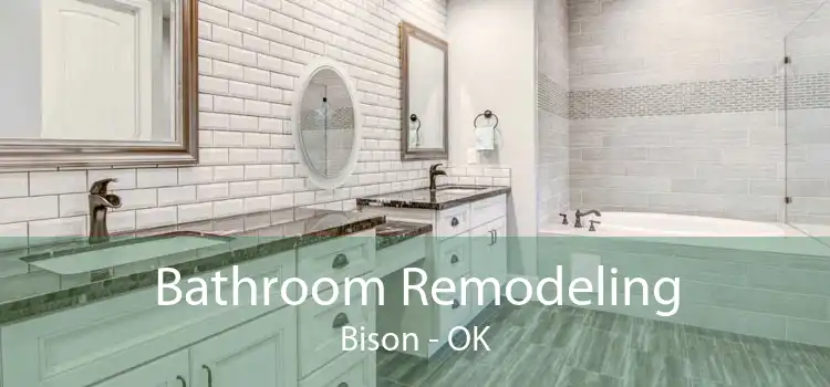 Bathroom Remodeling Bison - OK