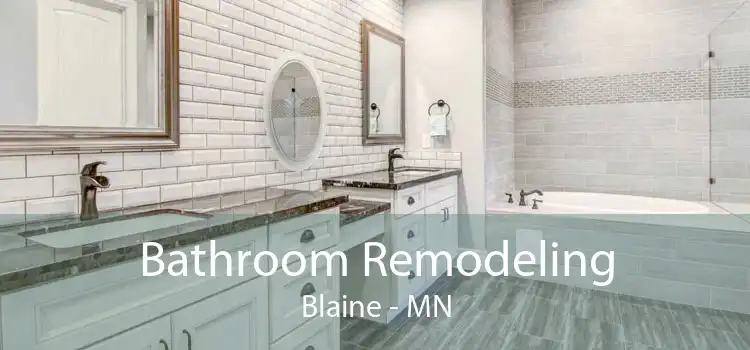 Bathroom Remodeling Blaine - MN