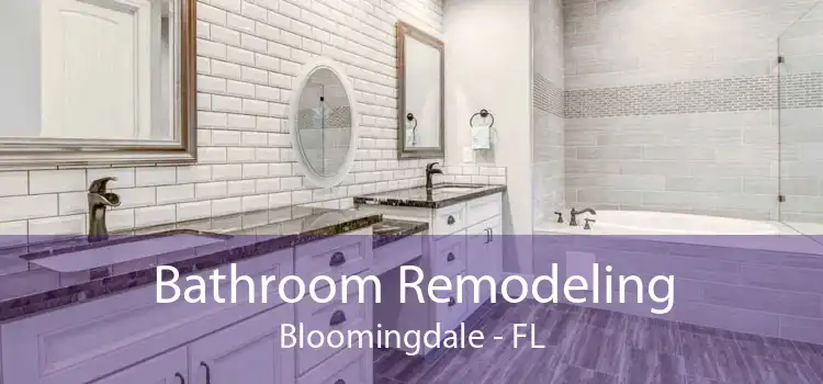 Bathroom Remodeling Bloomingdale - FL