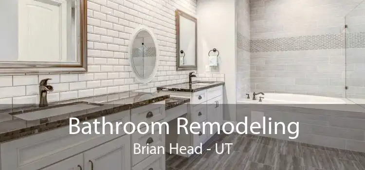 Bathroom Remodeling Brian Head - UT