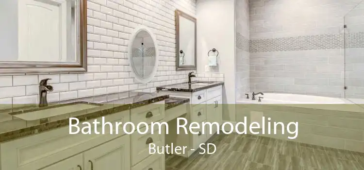 Bathroom Remodeling Butler - SD