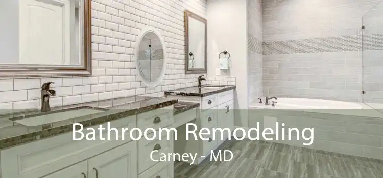 Bathroom Remodeling Carney - MD