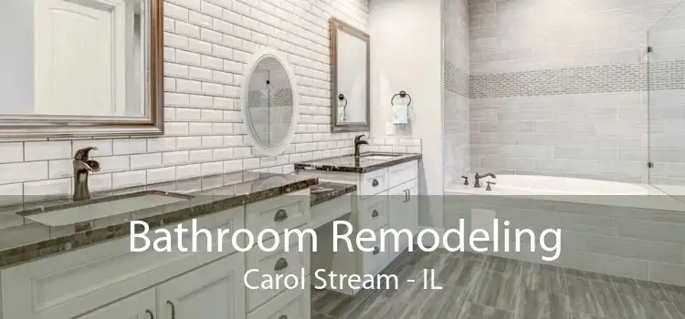 Bathroom Remodeling Carol Stream - IL