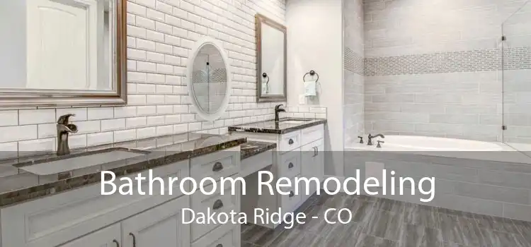Bathroom Remodeling Dakota Ridge - CO