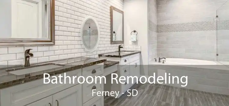 Bathroom Remodeling Ferney - SD