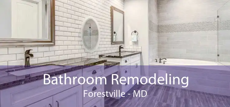 Bathroom Remodeling Forestville - MD