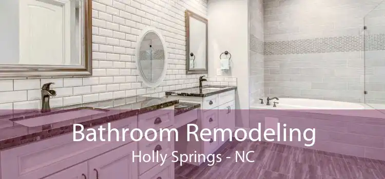 Bathroom Remodeling Holly Springs - NC