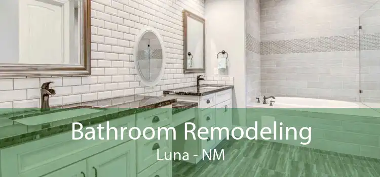 Bathroom Remodeling Luna - NM