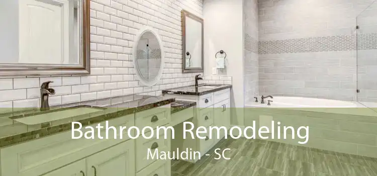 Bathroom Remodeling Mauldin - SC