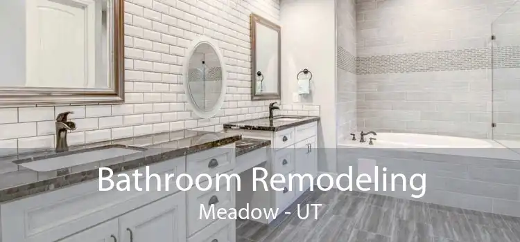 Bathroom Remodeling Meadow - UT