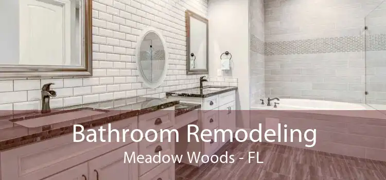 Bathroom Remodeling Meadow Woods - FL