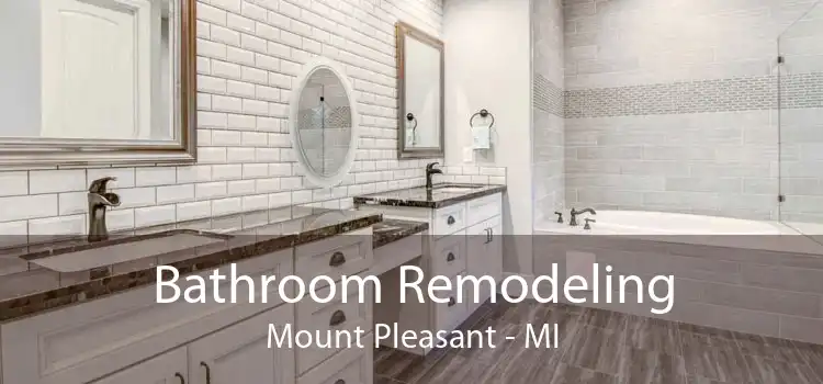 Bathroom Remodeling Mount Pleasant - MI