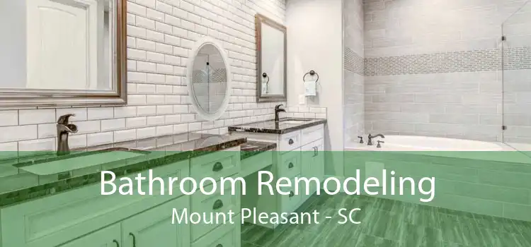 Bathroom Remodeling Mount Pleasant - SC