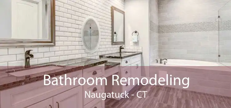 Bathroom Remodeling Naugatuck - CT
