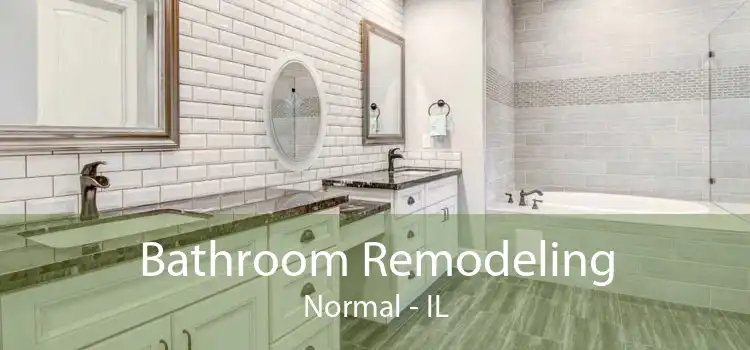 Bathroom Remodeling Normal - IL