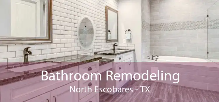 Bathroom Remodeling North Escobares - TX